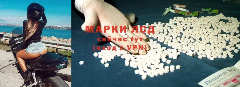 где можно купить наркотик  Химки  ЛСД экстази ecstasy 